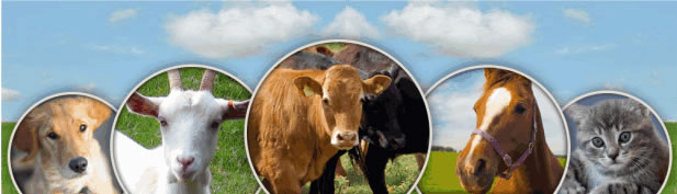 Veterinary Products